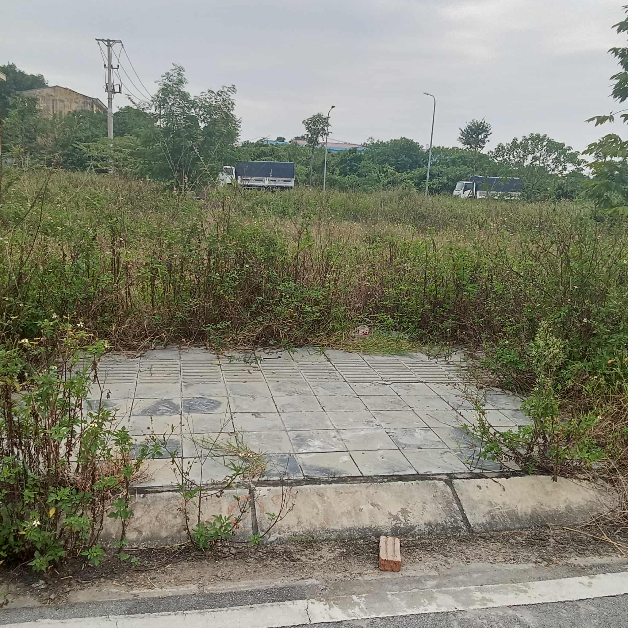 Phố mới Mai Lâm. Kinh doanh, phân lô, ô tô tránh. Dt 56m2