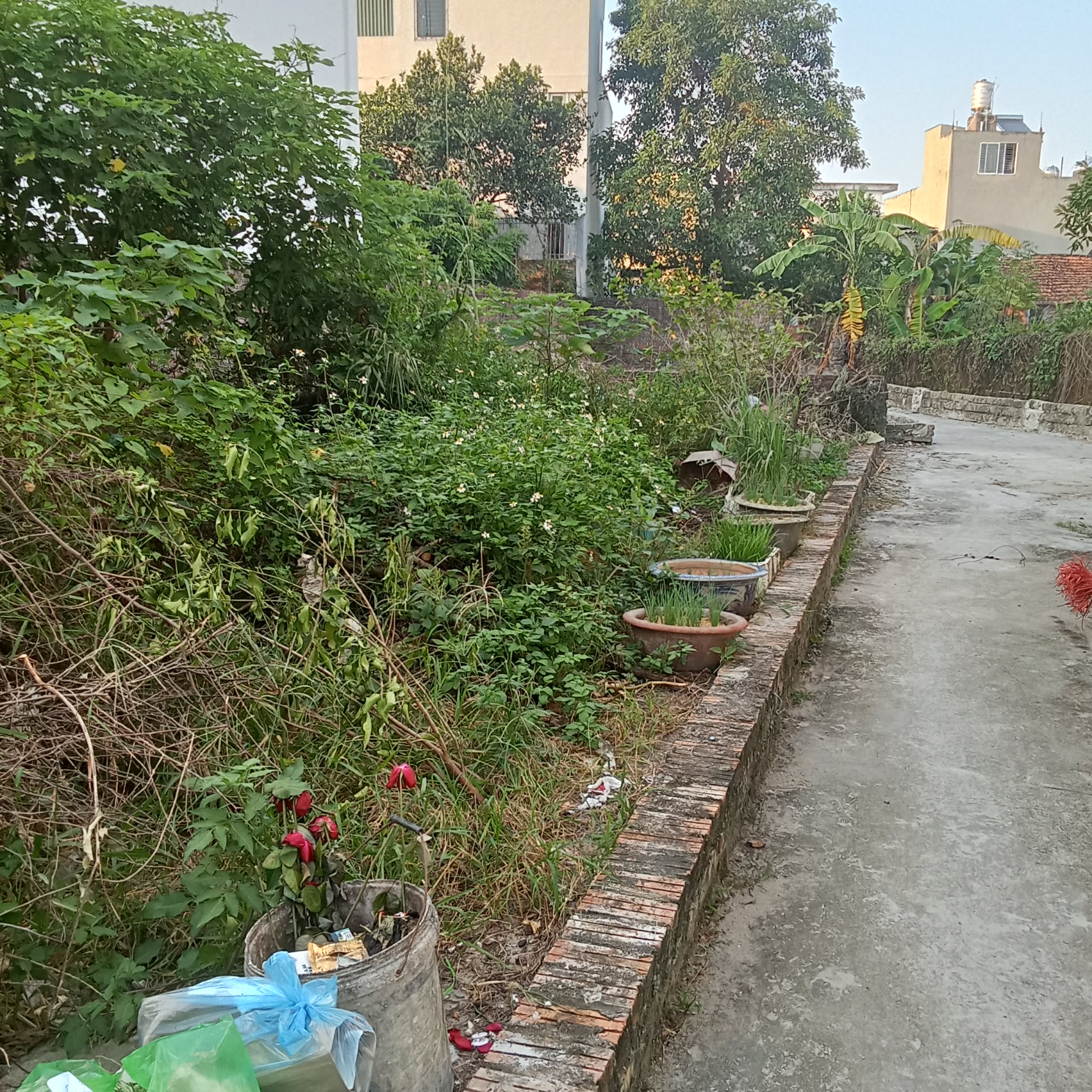 Chỉ hơn 3 tỷ, có ngay mảnh đất đệp tại trung tâm Cổ Loa. Ô Tô tránh