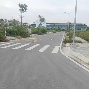 Phố mới Mai Lâm. Kinh doanh, phân lô, ô tô tránh. Dt 56m2