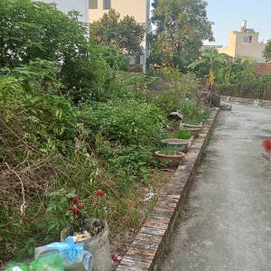 Chỉ hơn 3 tỷ có ngay mảnh đất đẹp tại Mai Lâm, Đông Anh. Gần Quốc Lộ 3. Dt 45m2