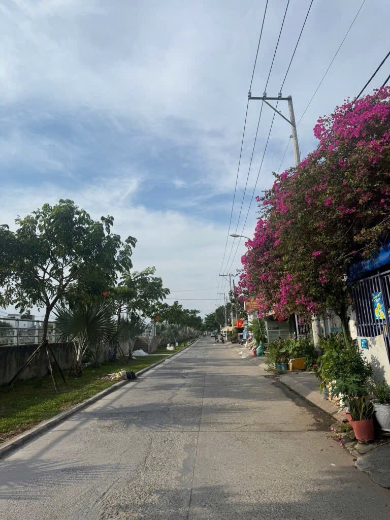 Bài mới :  Mễ Cốc ,Phường 15, Quận 8.Giá bán 3,6