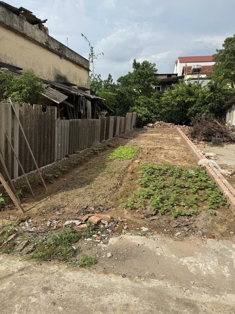 Ông cụ chia đất cho con còn thừa nên bán