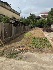 Ông cụ chia đất cho con còn thừa nên bán