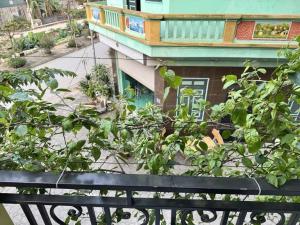 BÁN NHÀ ĐỊNH CÔNG HOÀNG MAI