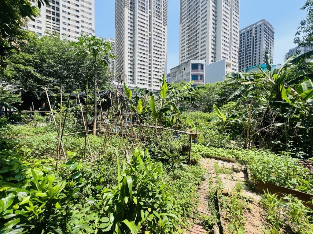 Bán nhà phú la hà đông ☎ trung 0358962870