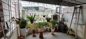 PHÂN LÔ – NHÀ ĐẸP THỤY KHUÊ – GẦN PHỐ – NỞ HẬU – 2 THOÁNG – GIÁ CHỈ 8,X TỶ