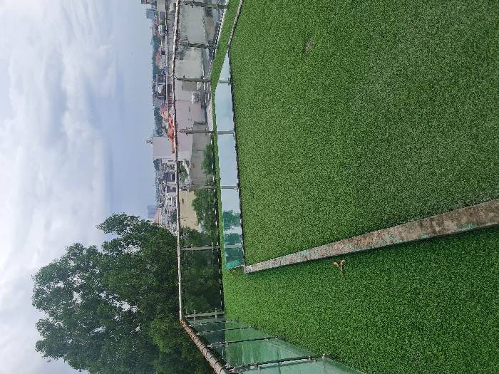 NHÀ HẺM OTO RA VÀO THOẢI MÁI, OTO ĐẬU TRƯỚC NHÀ, CHỈ VIỆC XÁCH VALI VÀO LÀ Ở - GẦN UBNN PHƯỜNG TAM BÌNH