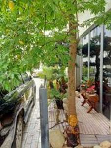 BẠCH MAI – CĂN CỰC ĐẸP , Ô TÔ ĐỖ, CHÍNH CHỦ GỬI BÁN