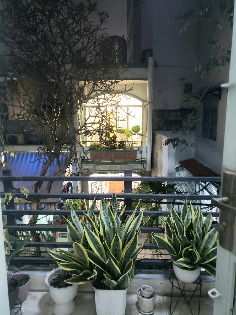 Chủ Cần Bán Gấp Nhà 3 Tầng Gần Mặt Tiền Trường Chinh – Ngang 5m – Hẻm Xe Hơi Thông – Giá Chỉ 9.9 Tỷ