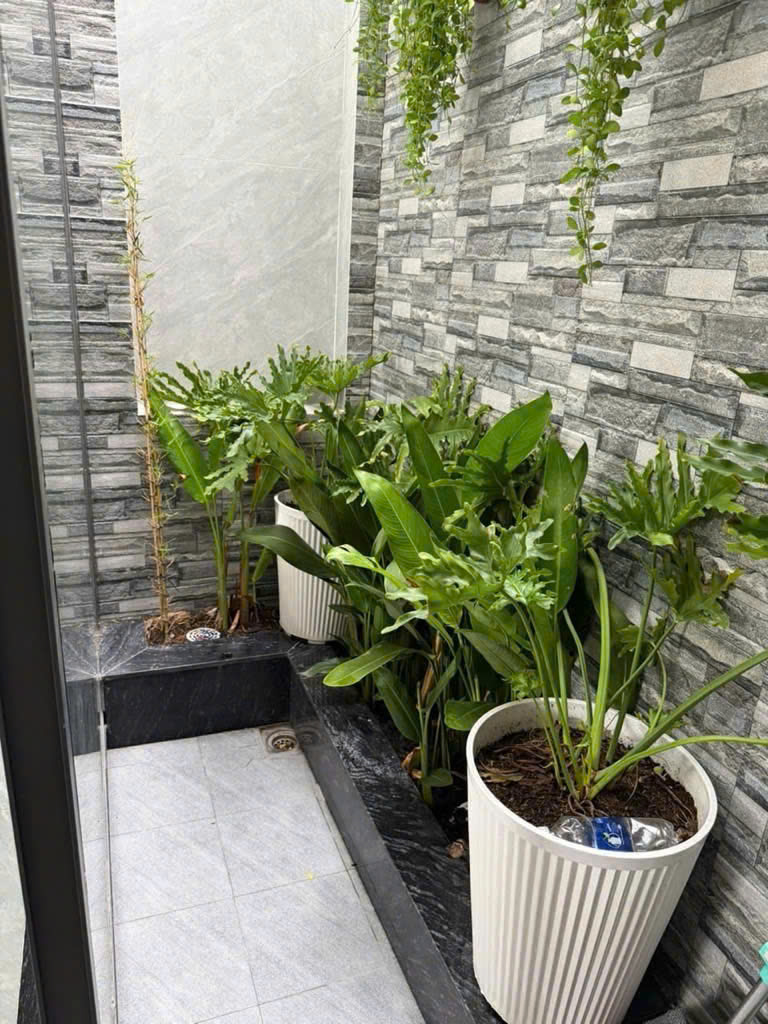 HÀNG CHUẨN NHÀ ĐẸP NGAY DT743, DĨ AN, BÌNH DƯƠNG - 60M2(5mx12m)