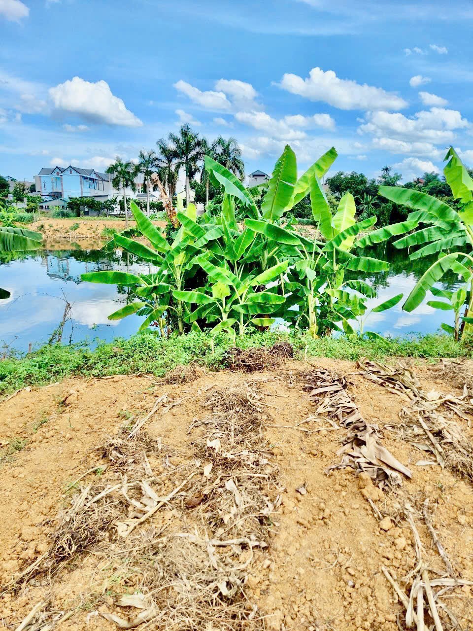 Bán đất nền phú cát Quốc Oai -Hà Nội