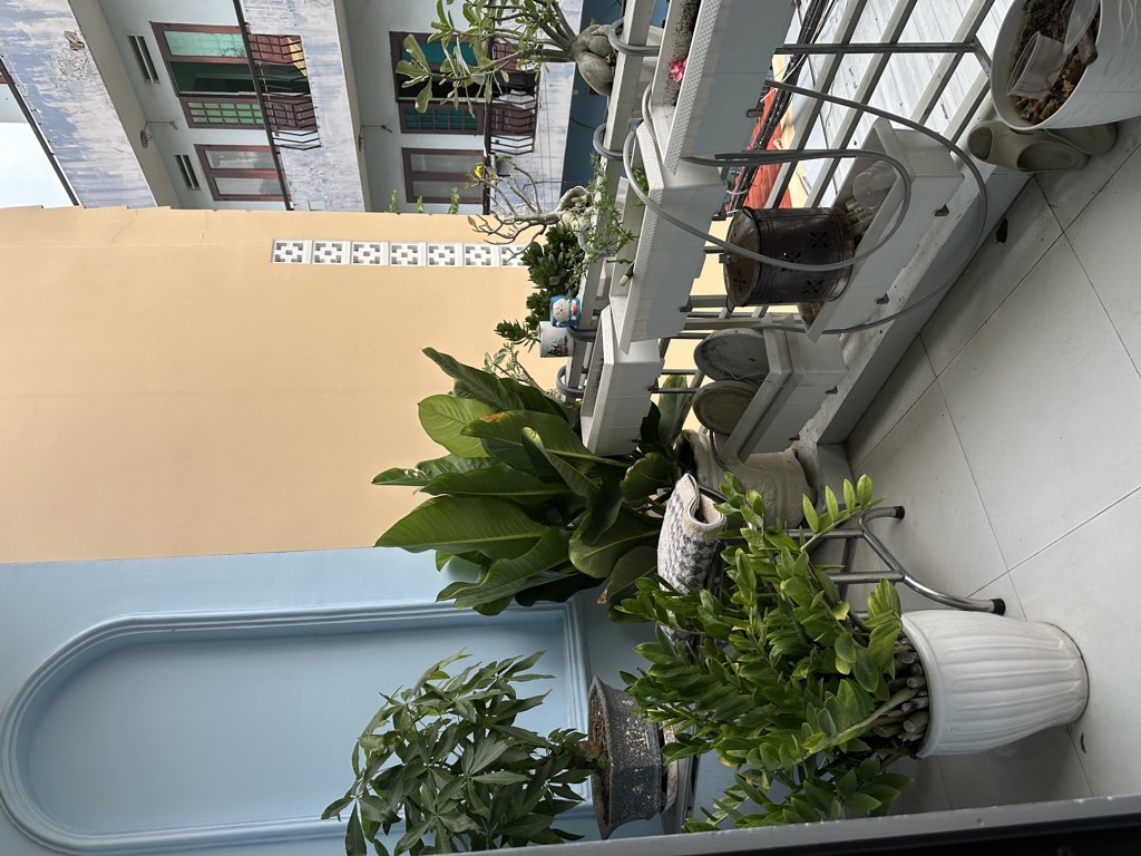 LÊ VĂN LƯƠNG GẦN LOTTE MART QUẬN 7, NHÀ ĐẸP LUNG LINH, 4.2X14.3M, 5 TỶ 4