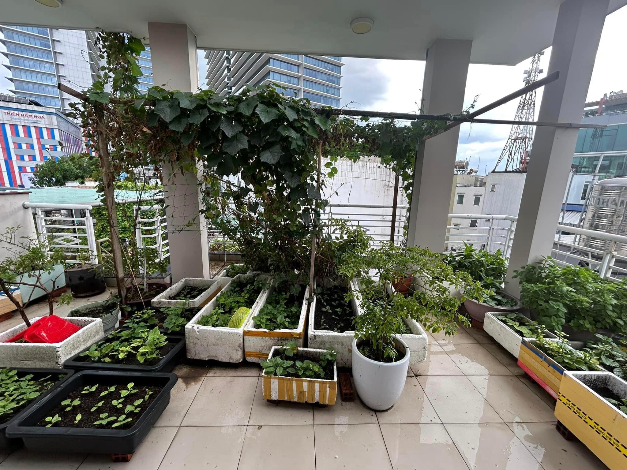  ĐƯỜNG LÝ PHỤC MAN QUẬN 7 – CĂN NÀY ĐÚNG KIỂU “ĐI 10 CĂN MỚI GẶP 1 CĂN - 5.8 tỷ