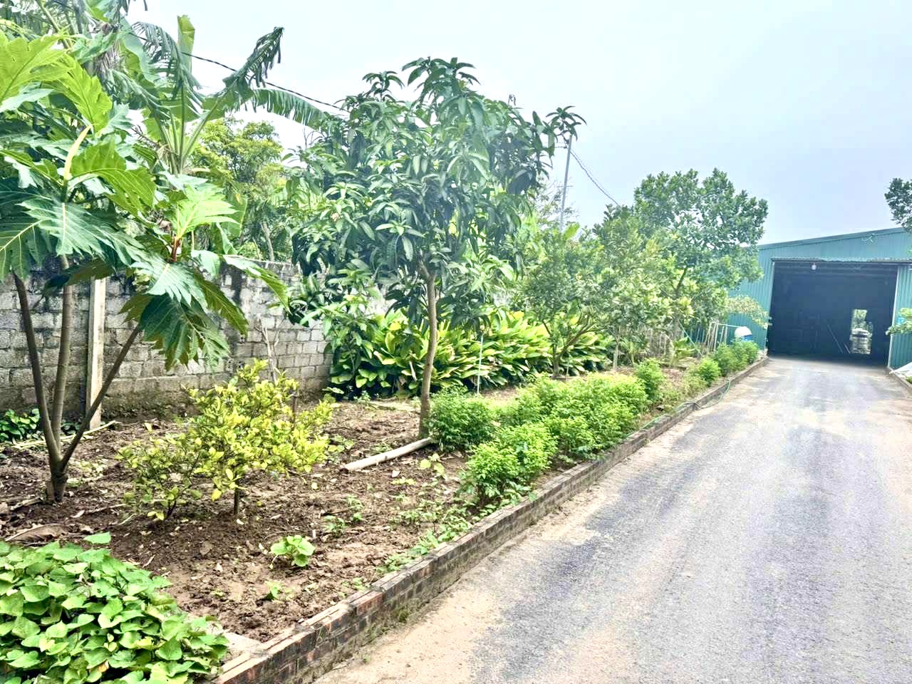 Thanh Trì Trục Đường Chính Mặt Tiền 30m, DT 1400m2 Giá Chỉ Hơn 12 Tỷ