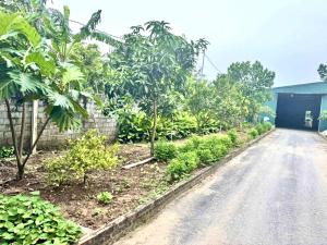 Mặt Đường Lớn, DT 1380m2 MT 18m Phù Hợp Nhà Máy Xưởng SX, Trang Trại Nhích 13 Tỷ