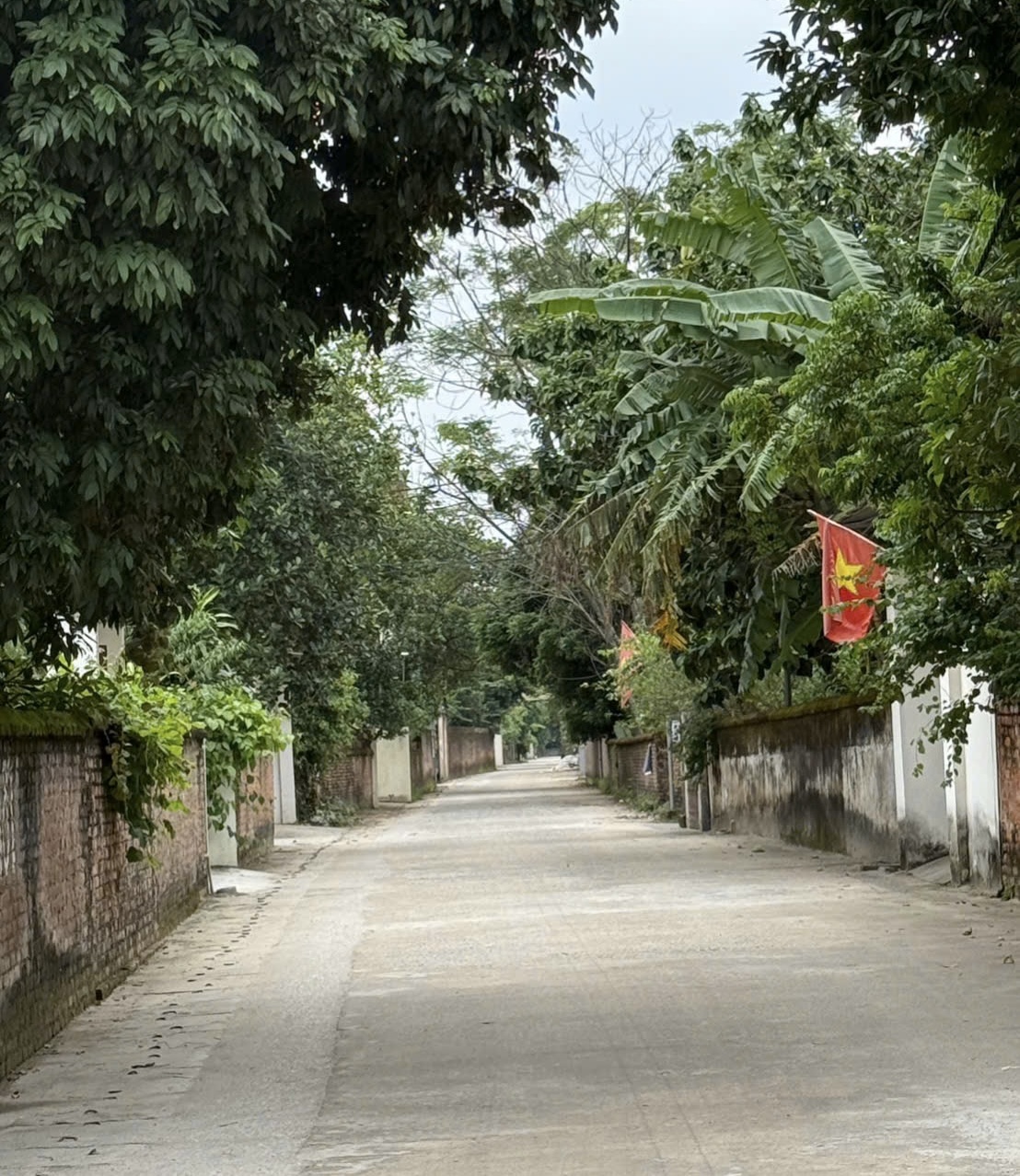 BÁN LÔ GÓC ĐAN TẢO- TÂN MINH- SÓC SƠN- 102M-3,8tỷ