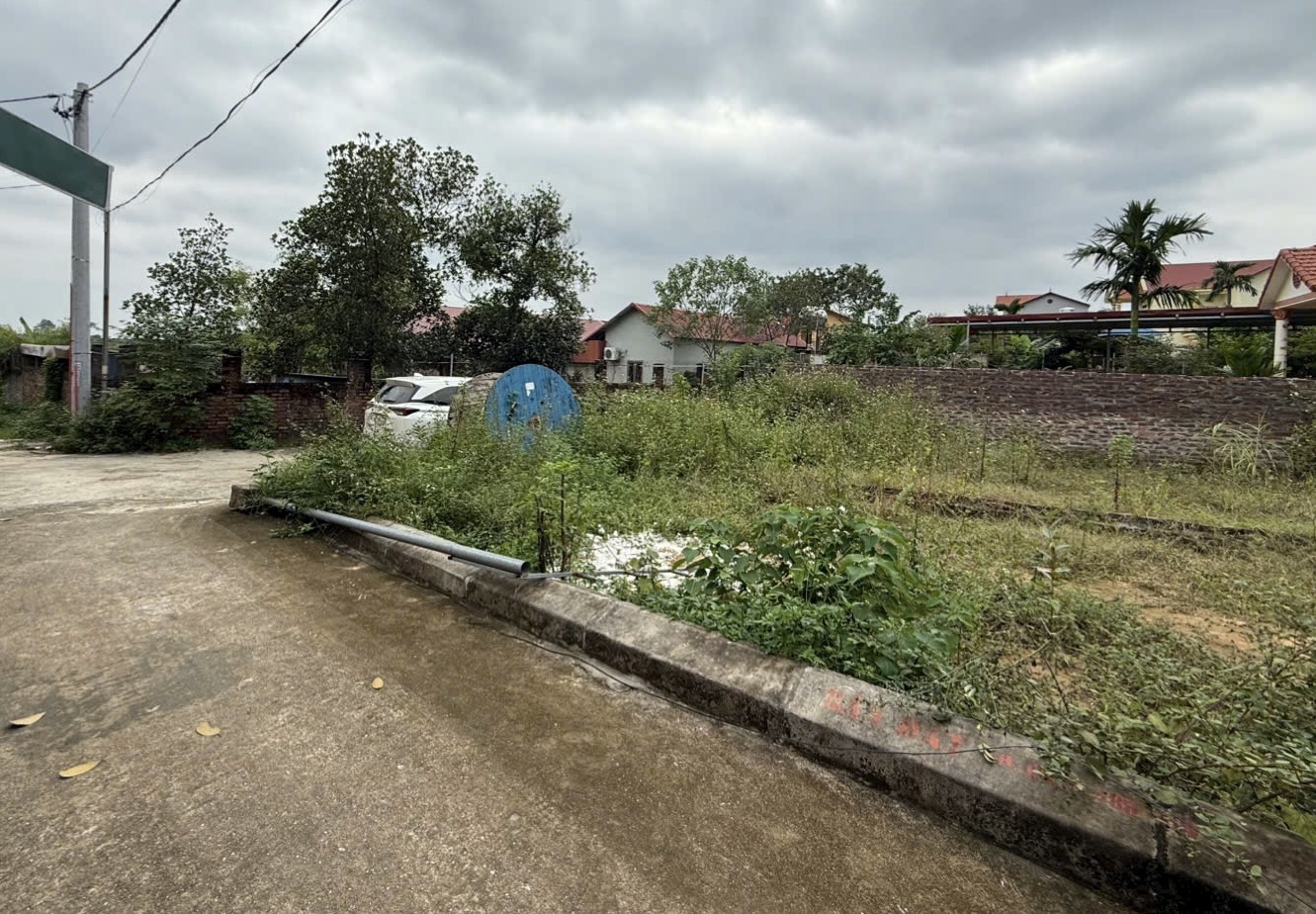 BÁN LÔ GÓC ĐAN TẢO- TÂN MINH- SÓC SƠN- 102M-3,8tỷ