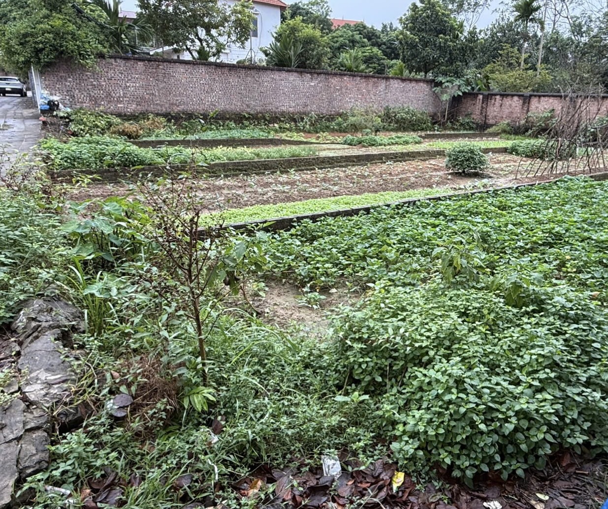 BÁN ĐẤT ĐAN TẢO- TÂN MINH- SÓC SƠN-100m-GIÁ 3,4Tỷ