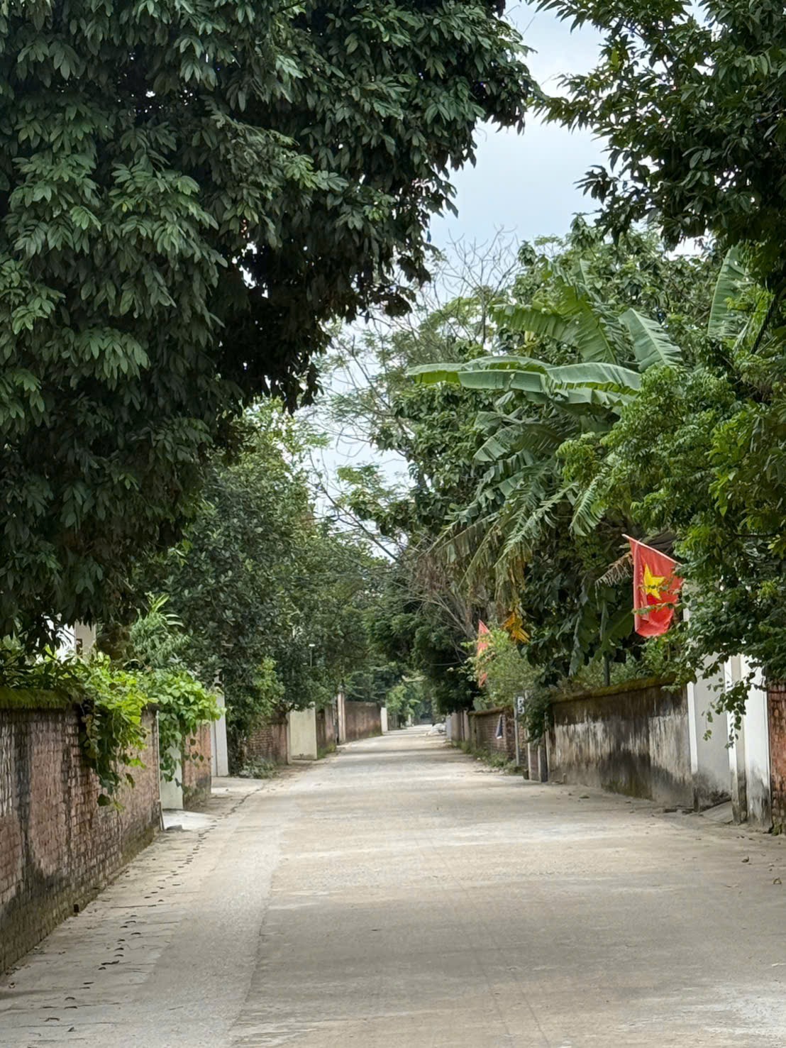 BÁN ĐẤT ĐAN TẢO- TÂN MINH- SÓC SƠN-100m-GIÁ 3,4Tỷ