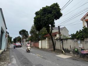 BÁN ĐẤT ĐAN TẢO - TÂN MINH 88M- GIÁ 3tỷ - ĐƯỜNG 8M SIÊU ĐẸP