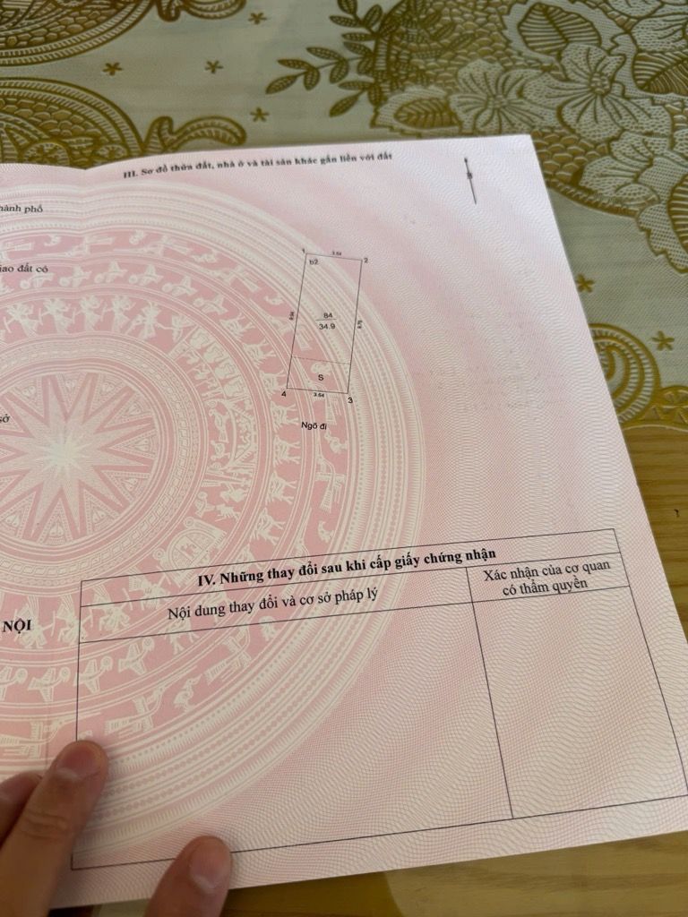 HÀNG HIẾM TRUNG TÂM ĐỐNG ĐA – HÀO NAM – CHỢ DỪA