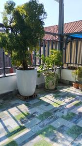 BÁN NHÀ HIẾM -SÁT PHỐ - LÔ GÓC - VIEW HỒ - Ô TÔ ĐỖ CỬA, 36 M2, NHỈNH 10 TỶ