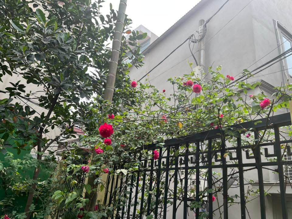 Nhà 2 tầng thiết kế đầy đủ công năng phòng ngủ, 2 nhà VS, Phòng Thờ, sân phơi