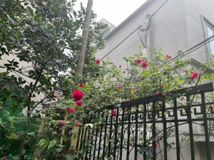 Nhà 2 tầng thiết kế đầy đủ công năng phòng ngủ, 2 nhà VS, Phòng Thờ, sân phơi