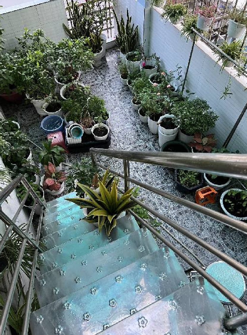 Nhà đẹp ngay vị trí vàng Lạc Long Quân