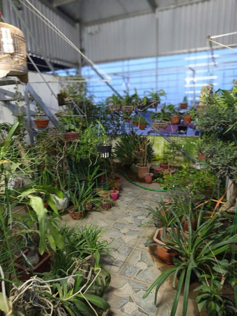 Bán nhà đẹp,sang,  xịn, mịn chỉ việc xách vani về ở ngay và luôn tại Yên Nghĩa- Hà Đông!