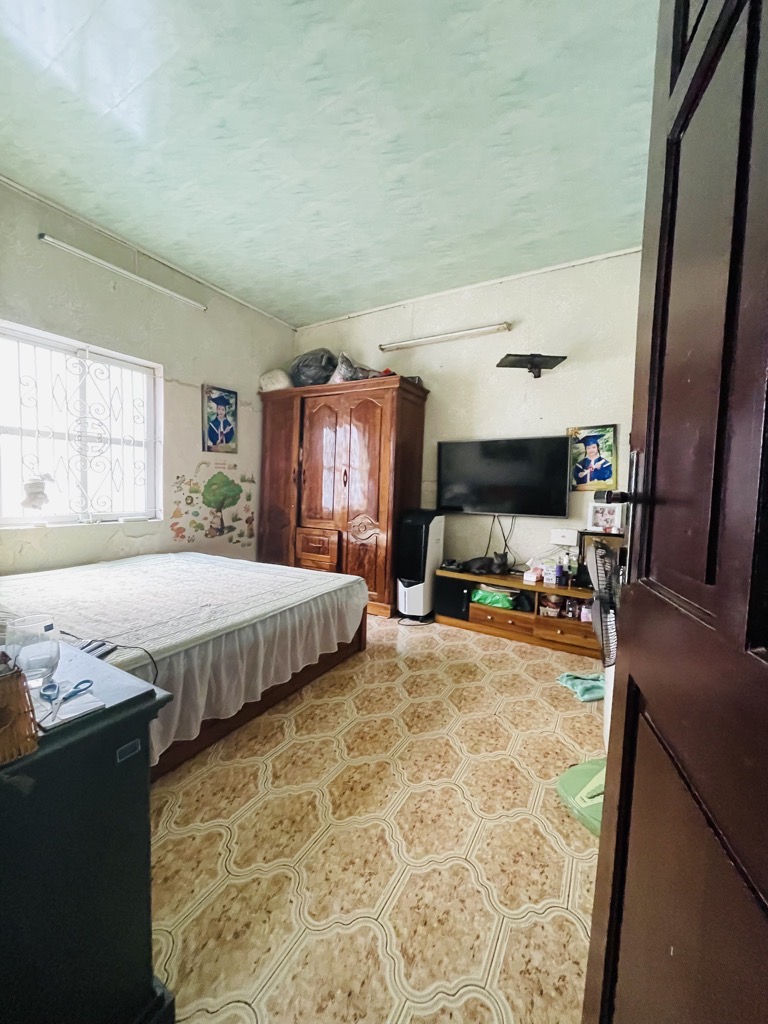 Bán nhà Đê Tô Hoàng Hiếm,Cần bán gấp-kinh doanh sầm uất 29m2x9.75ty