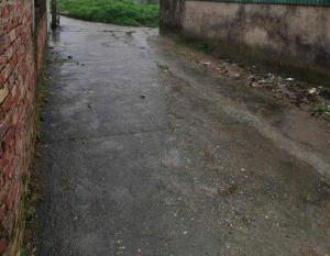 THÔN BẾN CHUNG, ĐÔNG ANH, HÀ NỘI.