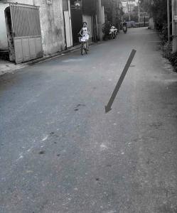 Ngách 29 ngõ 30 đường bến bỏi hải bối đông anh hà nội