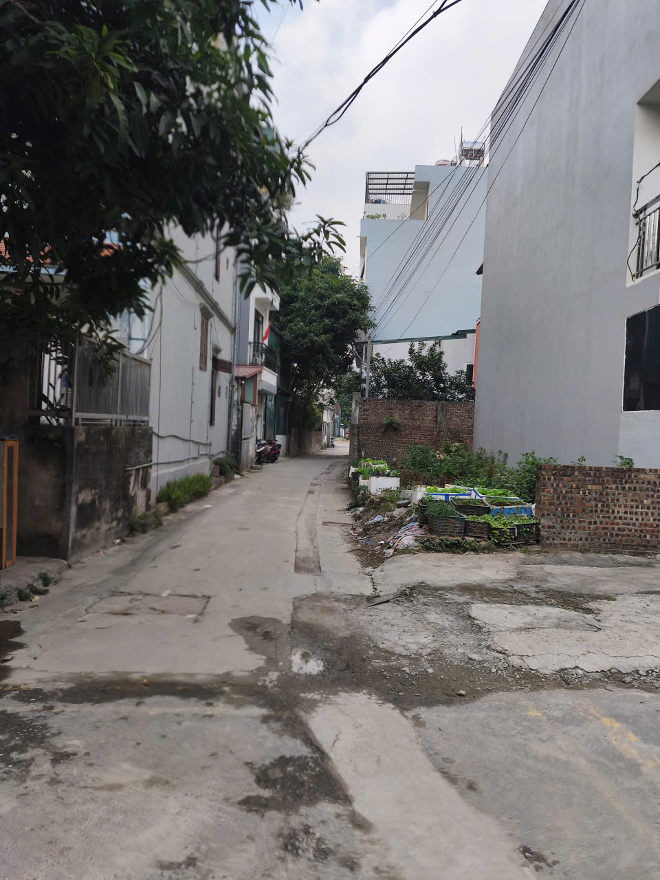 BÁN ĐẤT LONG BIÊN ĐƯỜNG 3M, MT4.6M DT40M2, Ô TÔ ĐỖ CỬA, KẾT NỐI GIAO THÔNG THUẬN TIỆN, GIÁ NHỈNH 6TỶ