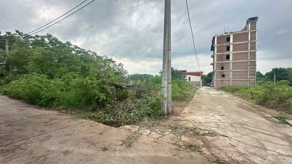 BÁN ĐẤT TẠI NGỌC LỊCH - VĂN LÂM 94M2