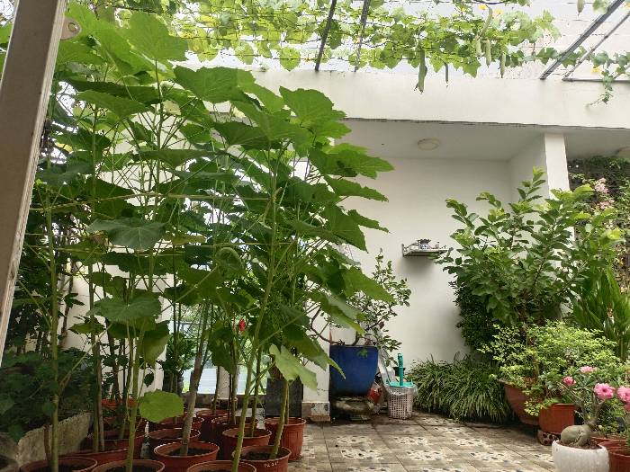 Bán nhà 4 tầng mặt tiền 6m - Hẻm xe tải ngay đường số 8, Trường Thọ, Thủ Đức - Giá 8.4 tỷ