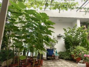 Bán nhà 4 tầng mặt tiền 6m - Hẻm xe tải ngay đường số 8, Trường Thọ, Thủ Đức - Giá 8.4 tỷ