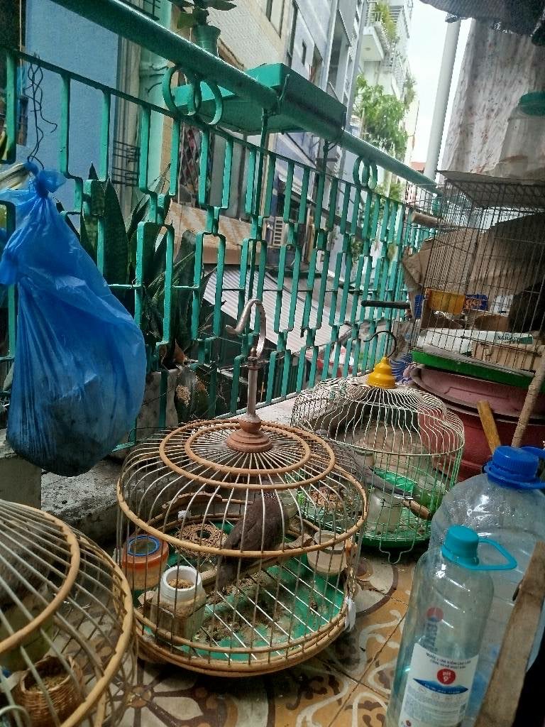 Nhà giá sốc Q.3 - Nguyễn Đình Chiểu - Cư xá đô thành - hẻm xe hơi - nhỉnh 7ty - nhà cũ tiện xây mới