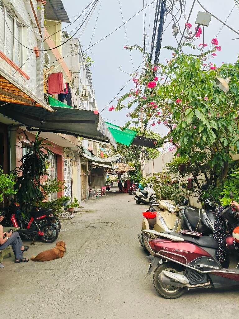 Dung1981.truonghai.thienkhoihcm@gmail.com