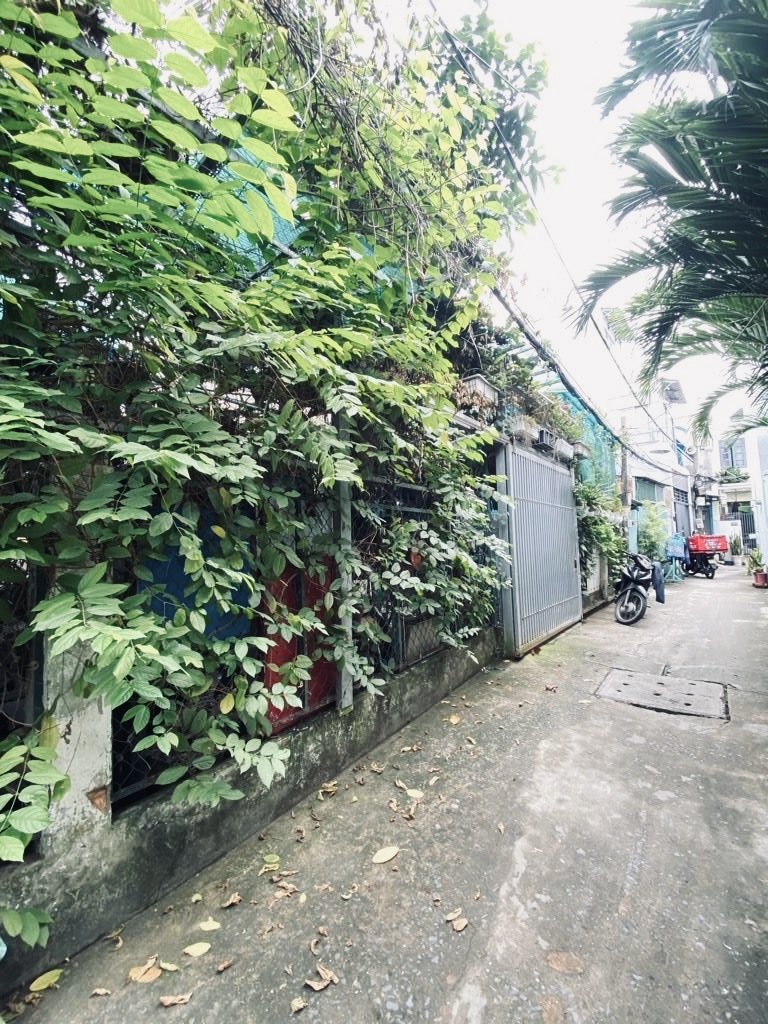 Bán Biệt thự sân vườn 12x13 Huỳnh Tấn Phát, phường Tân Phú, Quận 7 giá chỉ 60 triệu m2