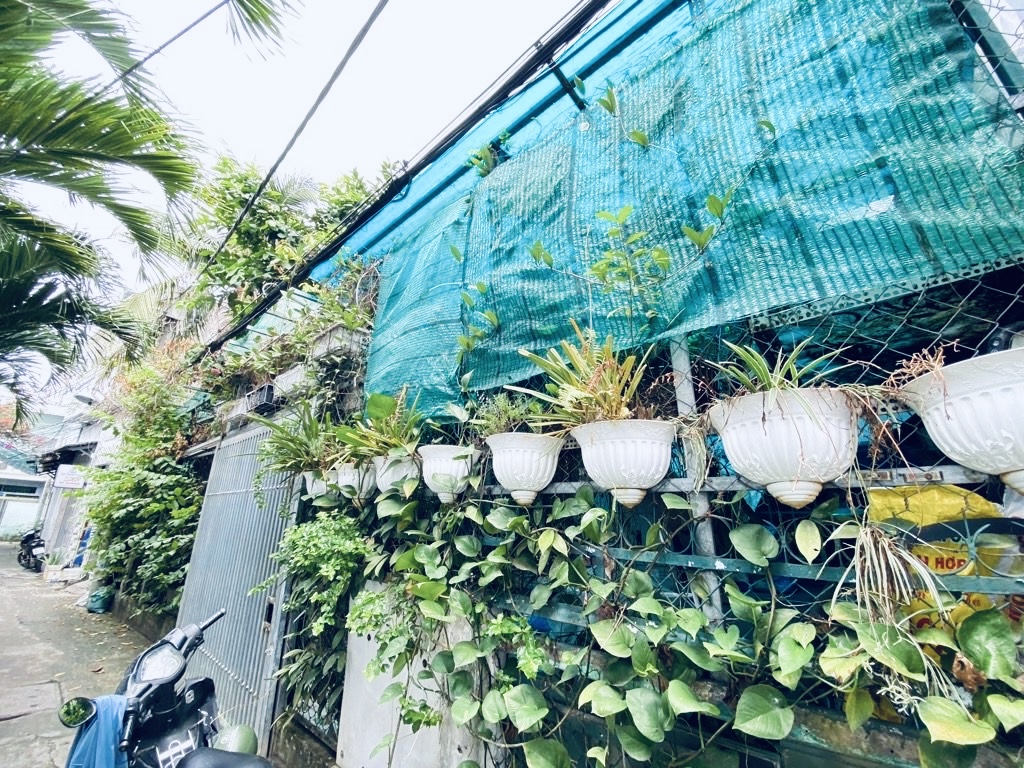 Bán Biệt thự sân vườn 12x13 Huỳnh Tấn Phát, phường Tân Phú, Quận 7 giá chỉ 60 triệu m2