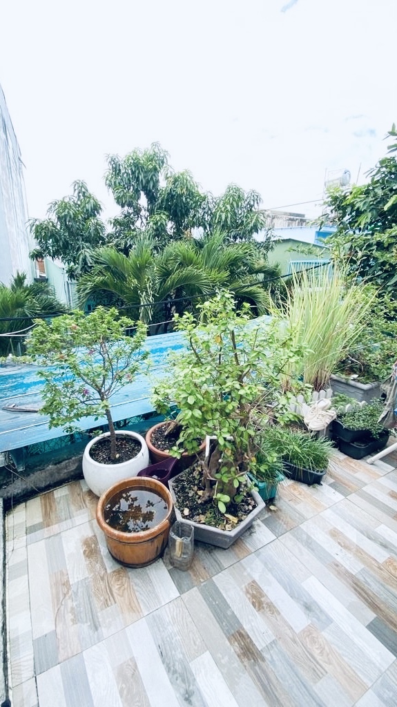 Bán Biệt thự sân vườn 12x13 Huỳnh Tấn Phát, phường Tân Phú, Quận 7 giá chỉ 60 triệu m2