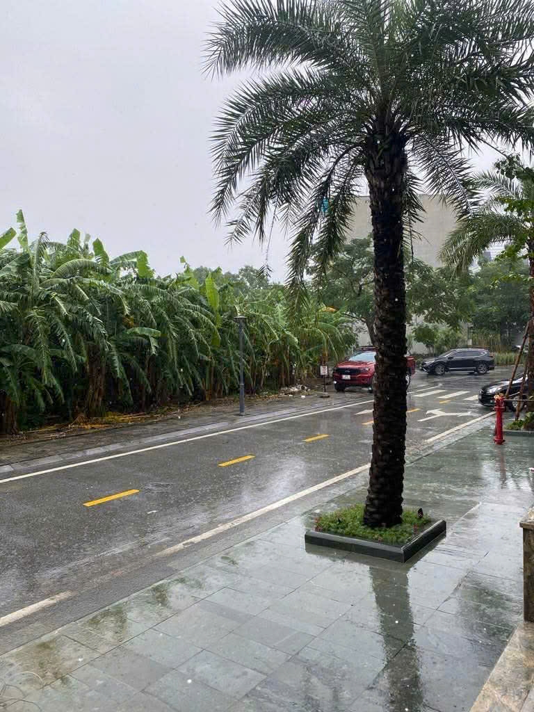 VỊ TRÍ CỰC ĐẸP TẠI CỬU CAO- VĂN GIANG- ĐẤT VUÔNG ĐÉT - THÔNG TỨ TUNG CÁC NGẢ