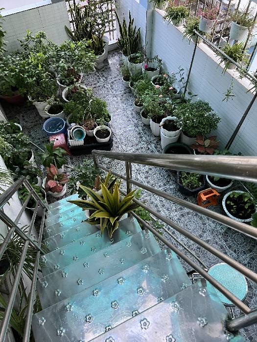 BÁN NHÀ QUẬN 11 – 5 TẦNG ĐẸP LONG LANH – GIÁ NHỈNH 8 TỶ