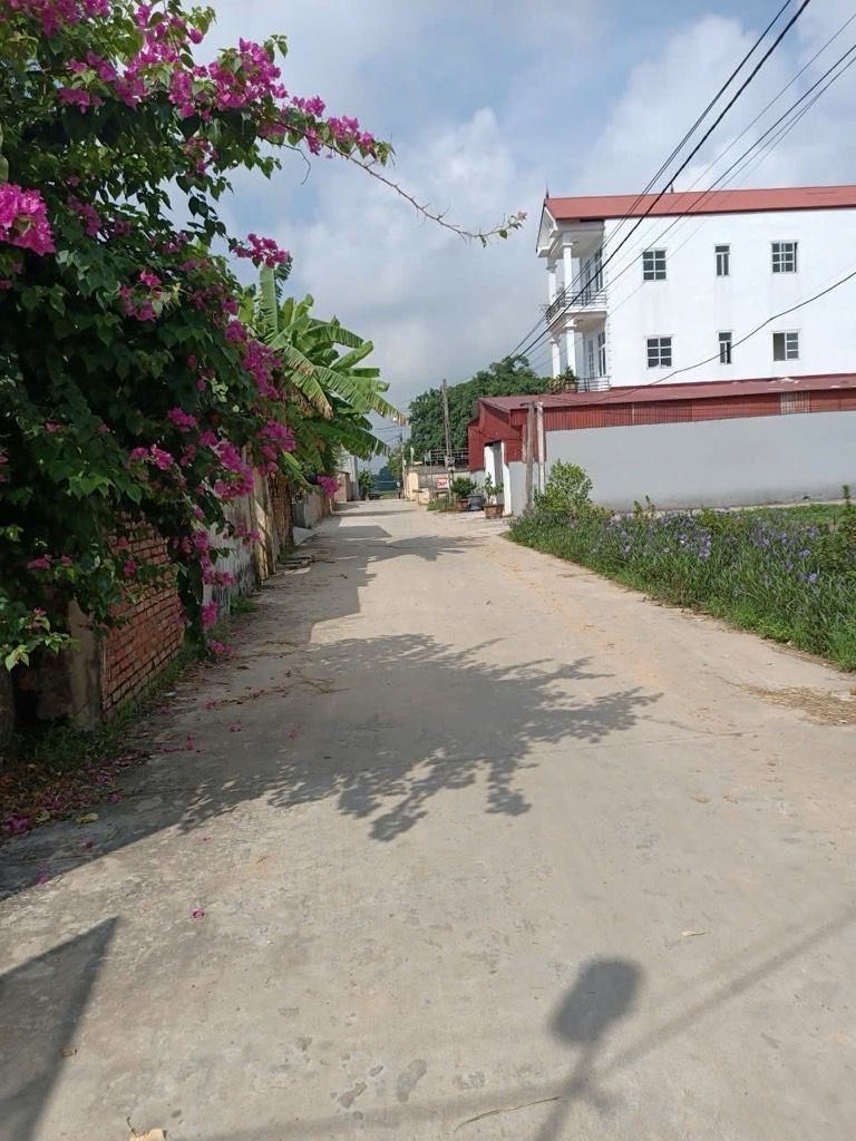 Bán nhà siêu đẹp MT5m , đường lớn , trung tâm văn hóa thể thao