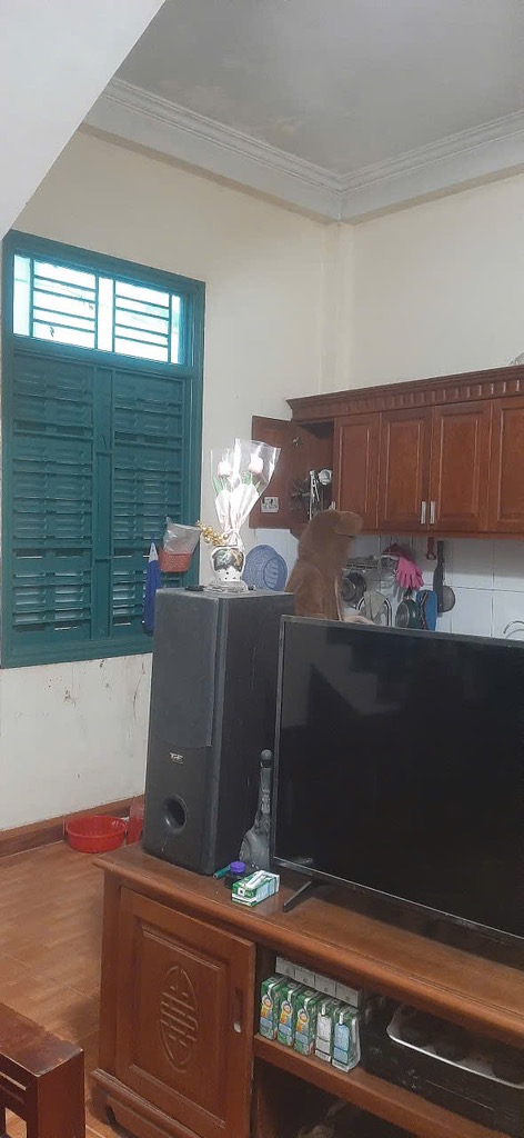 XUÂN PHƯƠNG -nhà mới đón tết-ngõ nông