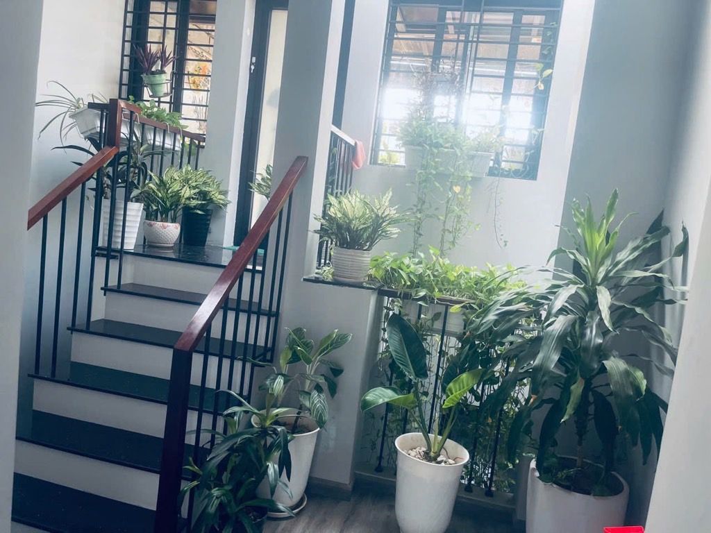 Nhà đẹp đón tết -Trung tâm Đại mỗ