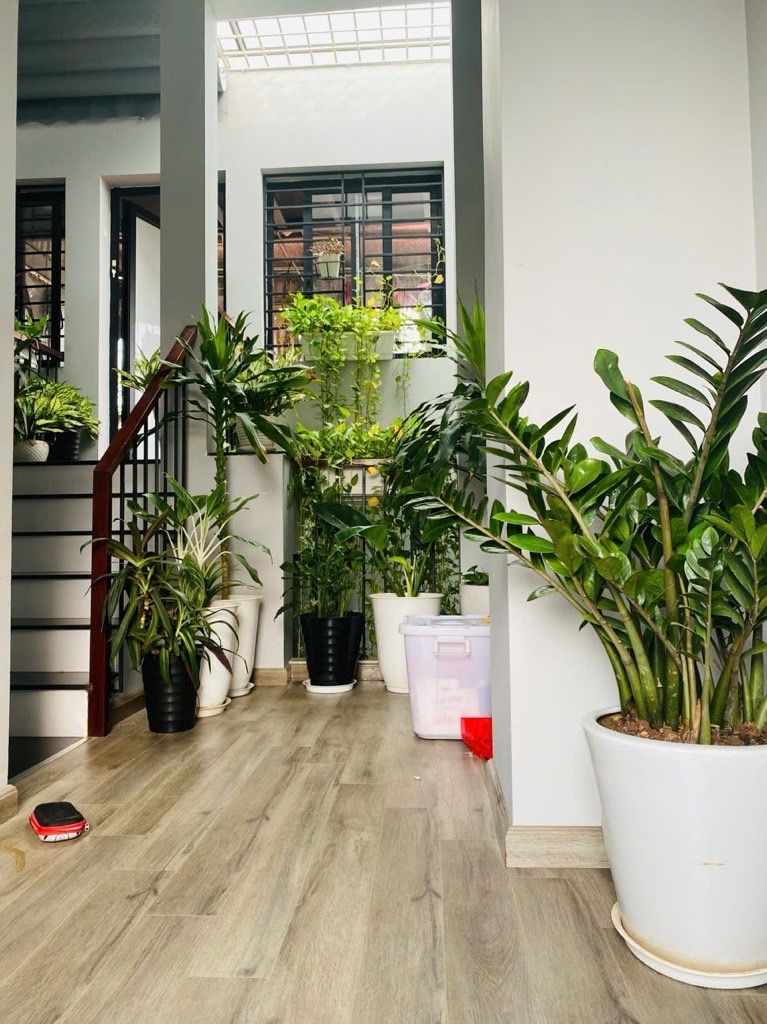 Nhà đẹp đón tết -Trung tâm Đại mỗ