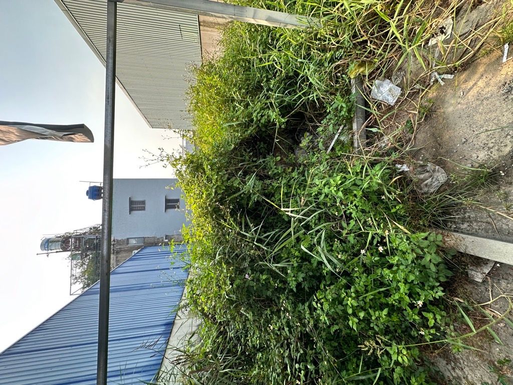 Đất 6 x 14 ~ 40tr/m2 ngay MT TX 52 đối diện khu tưởng niệm Vươn Cau đỏ, Q.12