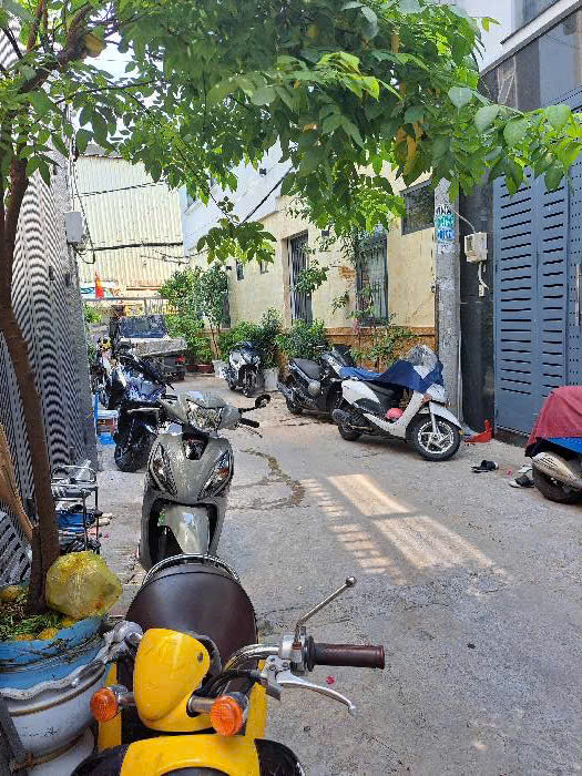 Bán nhà hẻm xe hơi đường Âu Cơ,